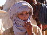 фото Последний полет фото Последний полет