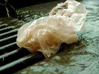 фото Пакет фото Пакет