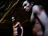 фото Жук фото Жук