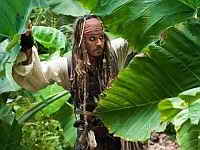 фото Джонни Депп в роли капитана Джека фото Джонни Депп в роли капитана Джека