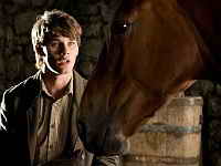 фото Боевой конь фото Боевой конь